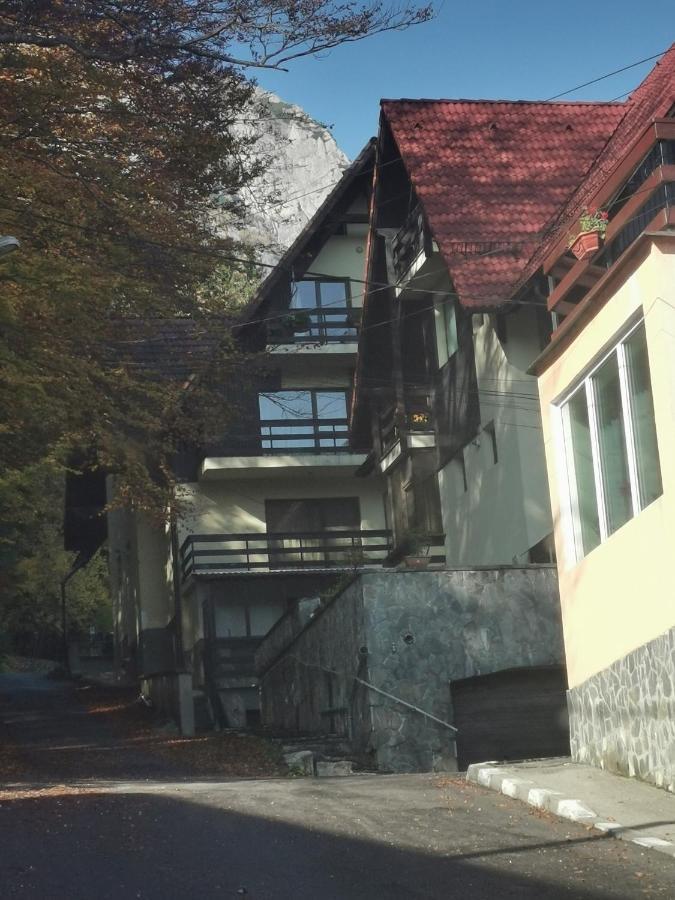 Apartament Kalinderu K2 Buşteni Dış mekan fotoğraf