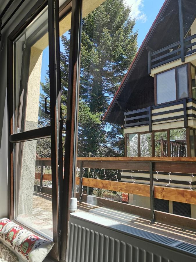 Apartament Kalinderu K2 Buşteni Dış mekan fotoğraf