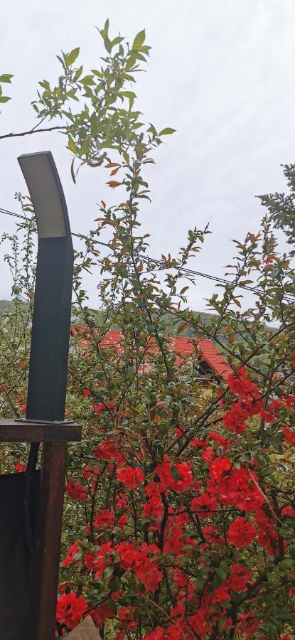 Apartament Kalinderu K2 Buşteni Dış mekan fotoğraf