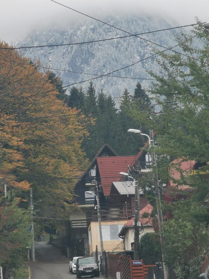 Apartament Kalinderu K2 Buşteni Dış mekan fotoğraf