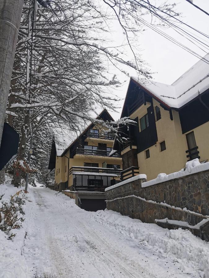 Apartament Kalinderu K2 Buşteni Dış mekan fotoğraf